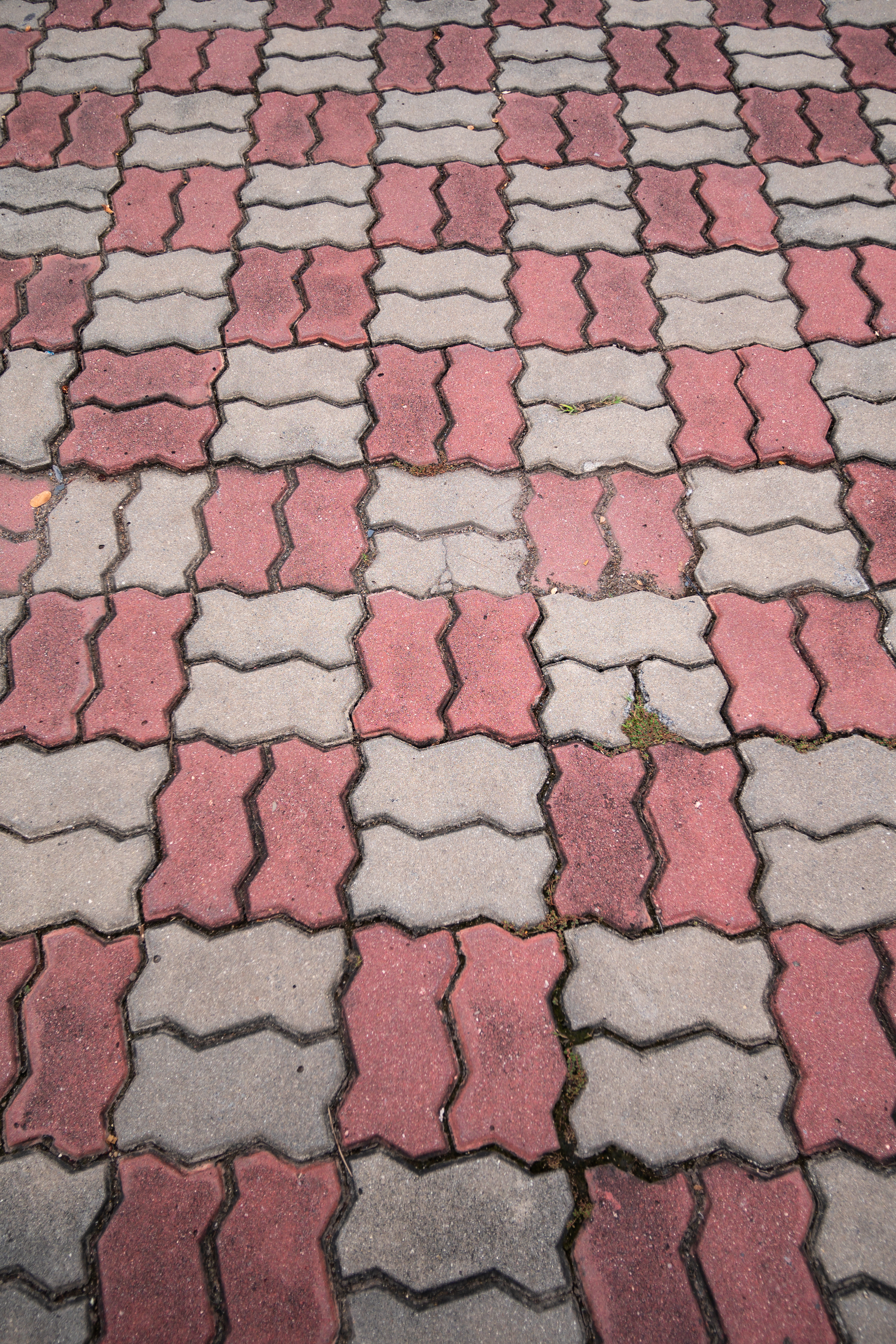 Square Paver Blocks