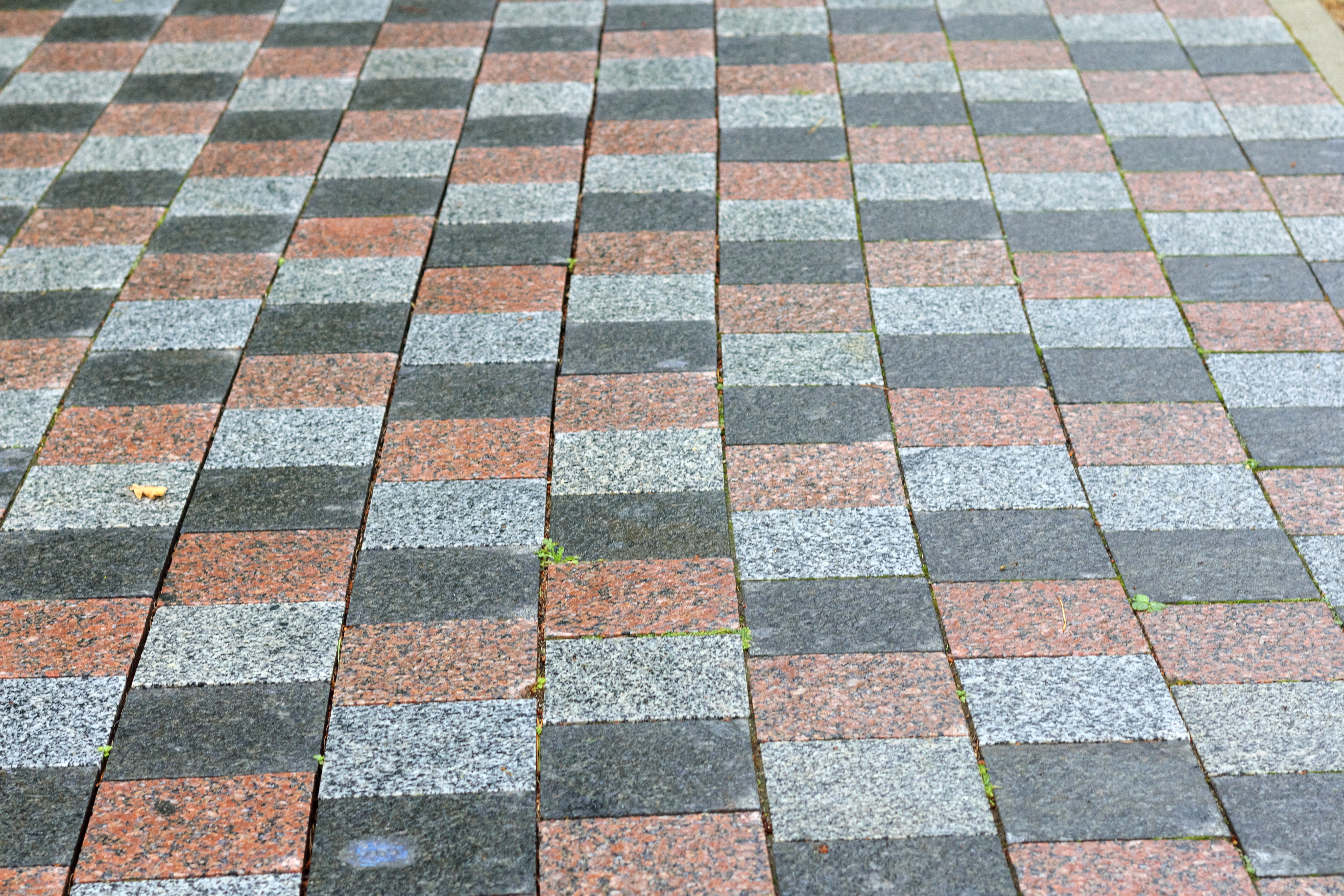 Multicolored Lawn Paving